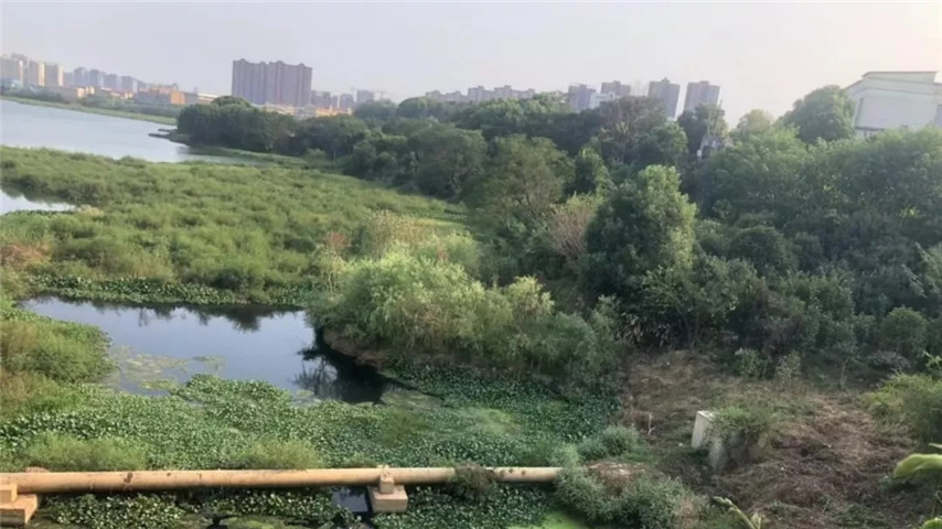 工匠星空体育在线官网星空体育在线官网首页_星空体育（中国）_星空体育（中国）
召开黄家湖上湖湖体综合整治工程现场调度会